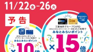 プリティストア　ポイントカード　95pt 未使用 レギュラーカード用スライドINカードローダー(クリアブラック